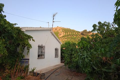 Villa a Cutar, Malaga, Cutar - € 262.000 | Ref: ID4400 - foto 10